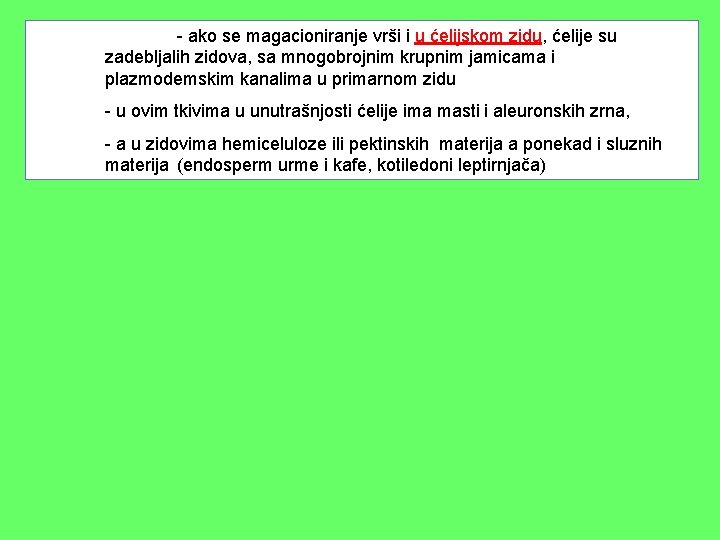 - ako se magacioniranje vrši i u ćelijskom zidu, ćelije su zadebljalih zidova, sa - ako se magacioniranje vrši i u ćelijskom zidu, ćelije su zadebljalih zidova, sa