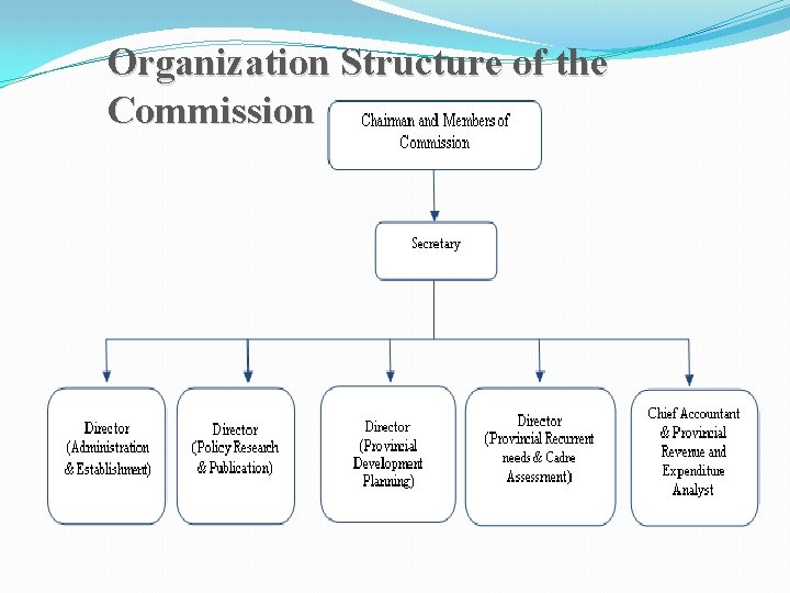 Organization Structure of the Commission 