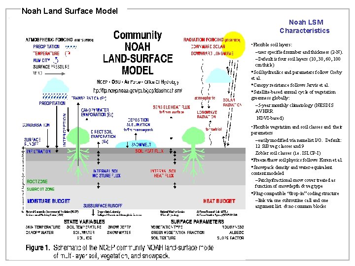Noah Land Surface Model Noah LSM Characteristics • Flexible soil layers: –user specified number