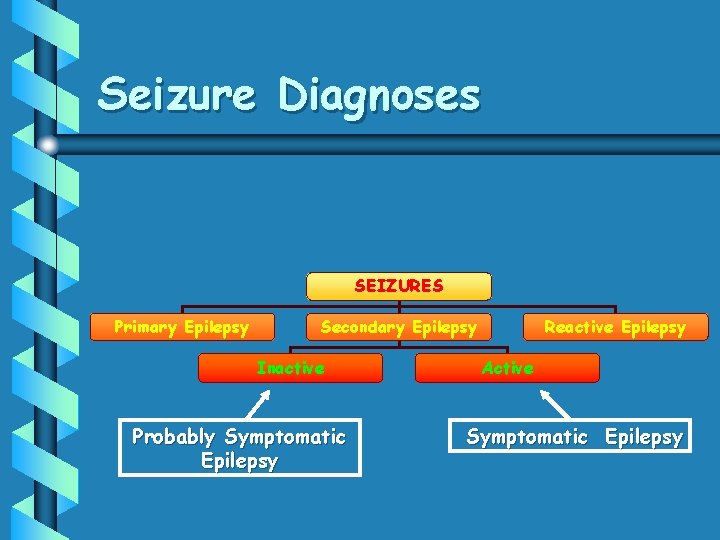 Seizure Diagnoses SEIZURES Primary Epilepsy Secondary Epilepsy Inactive Probably Symptomatic Epilepsy Reactive Epilepsy Active