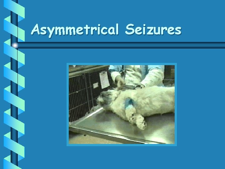 Asymmetrical Seizures 