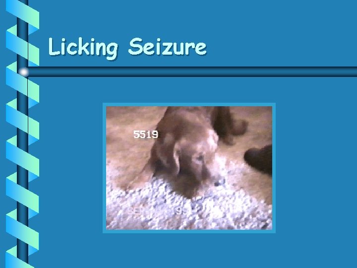 Licking Seizure 