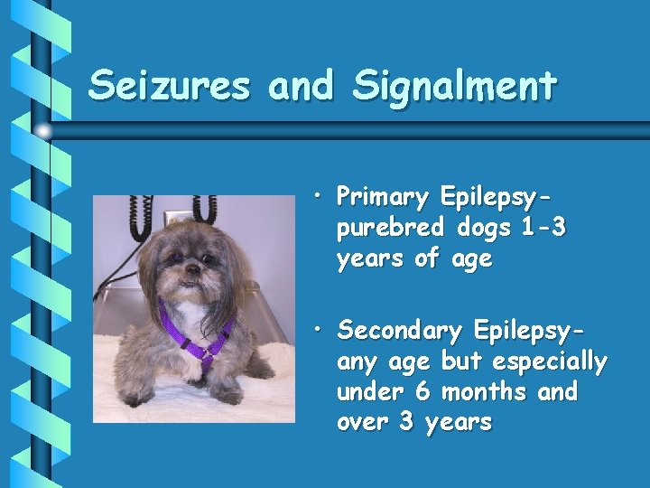 Seizures and Signalment • Primary Epilepsypurebred dogs 1 -3 years of age • Secondary