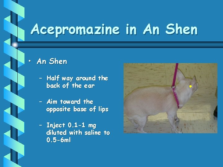 Acepromazine in An Shen • An Shen – Half way around the back of
