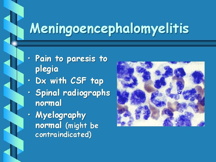 Meningoencephalomyelitis • Pain to paresis to plegia • Dx with CSF tap • Spinal