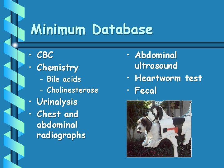 Minimum Database • CBC • Chemistry – Bile acids – Cholinesterase • Urinalysis •