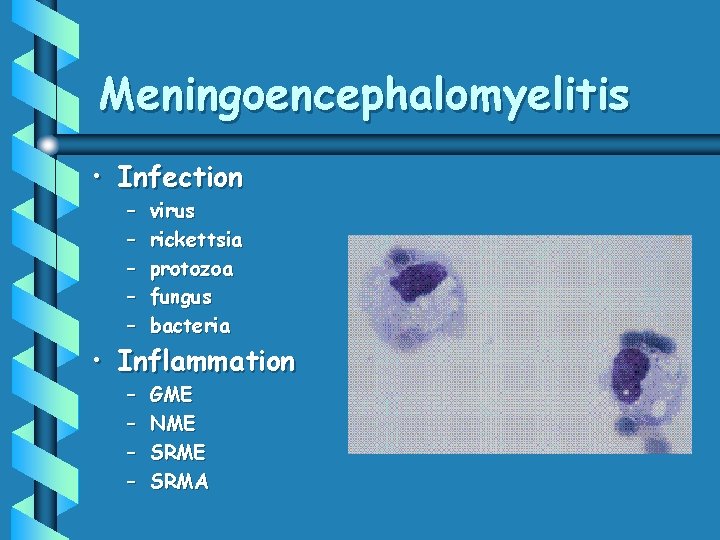 Meningoencephalomyelitis • Infection – – – virus rickettsia protozoa fungus bacteria – – GME