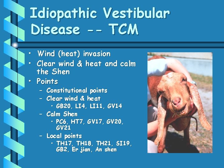 Idiopathic Vestibular Disease -- TCM • Wind (heat) invasion • Clear wind & heat