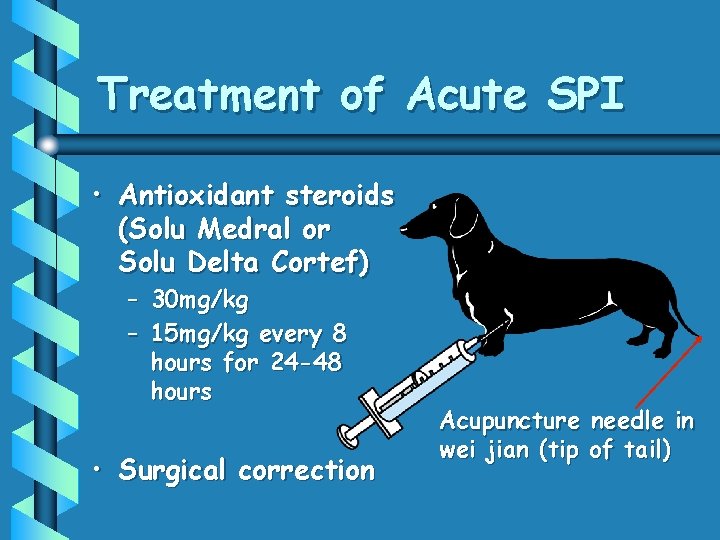 Treatment of Acute SPI • Antioxidant steroids (Solu Medral or Solu Delta Cortef) –