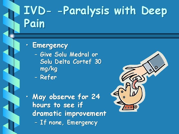 IVD- -Paralysis with Deep Pain • Emergency – Give Solu Medral or Solu Delta