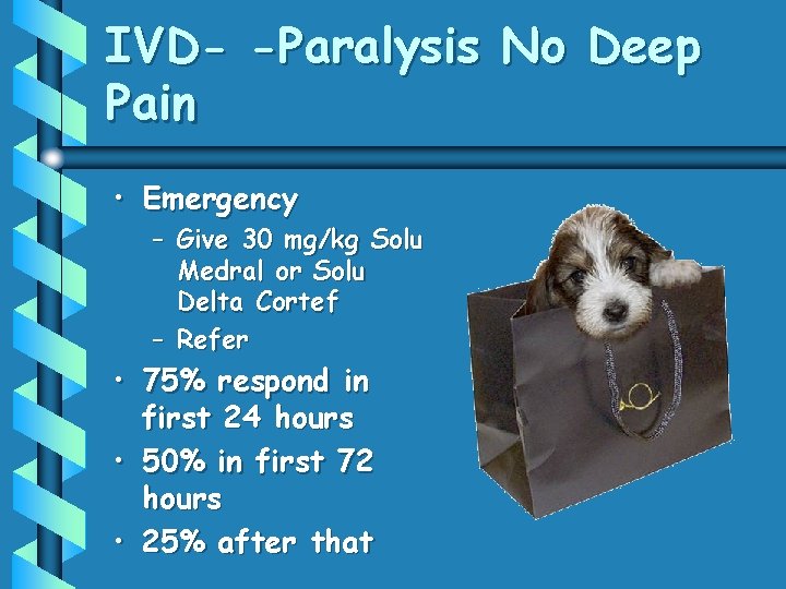 IVD- -Paralysis No Deep Pain • Emergency – Give 30 mg/kg Solu Medral or