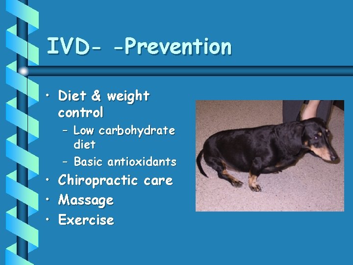 IVD- -Prevention • Diet & weight control – Low carbohydrate diet – Basic antioxidants