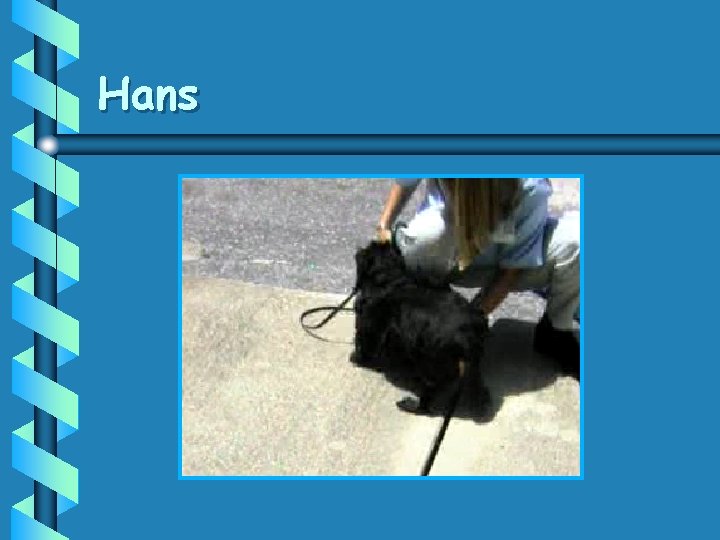 Hans 