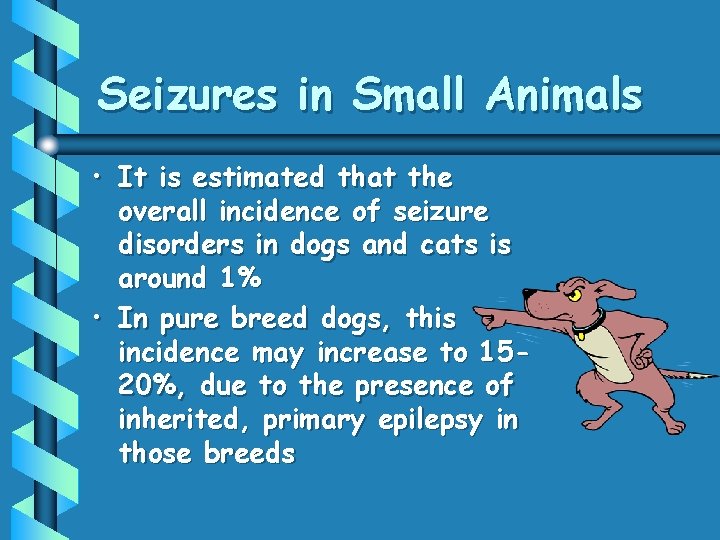 Seizures in Small Animals • It is estimated that the overall incidence of seizure