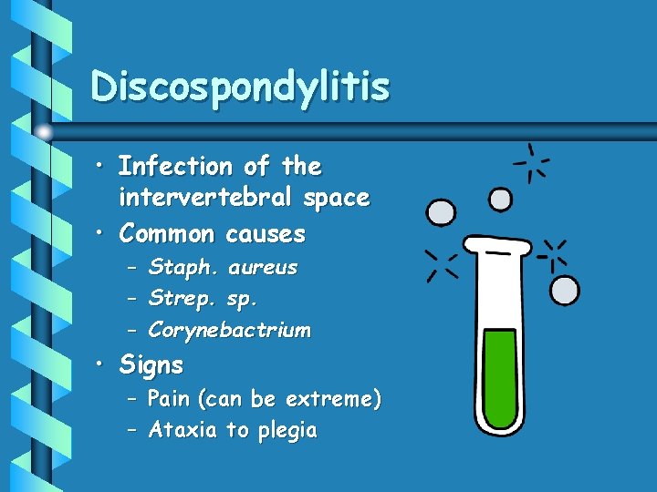 Discospondylitis • Infection of the intervertebral space • Common causes – – – Staph.