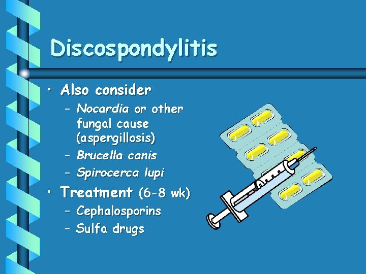 Discospondylitis • Also consider – Nocardia or other fungal cause (aspergillosis) – Brucella canis