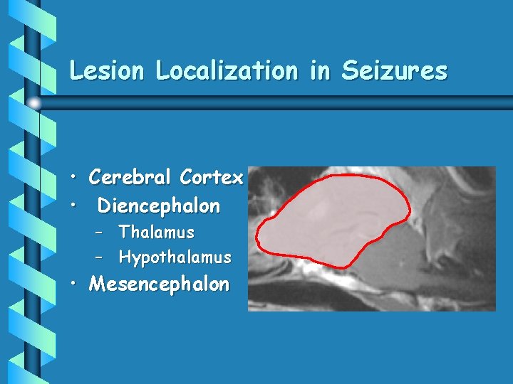 Lesion Localization in Seizures • Cerebral Cortex • Diencephalon – Thalamus – Hypothalamus •