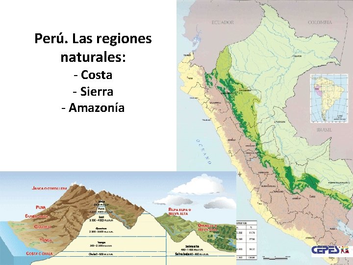 Perú. Las regiones naturales: - Costa - Sierra - Amazonía 