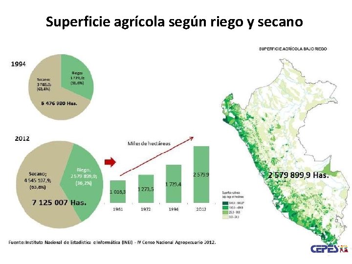 Superficie agrícola según riego y secano 