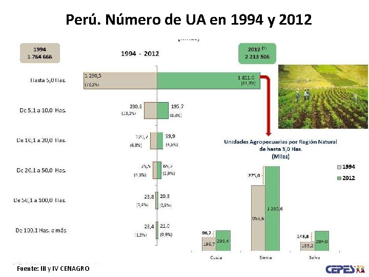 Perú. Número de UA en 1994 y 2012 Fuente: III y IV CENAGRO 
