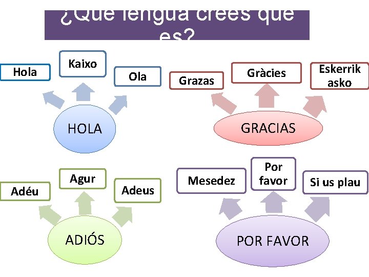 ¿Qué lengua crees que es? Hola Kaixo Ola Grazas Adéu ADIÓS Eskerrik asko GRACIAS