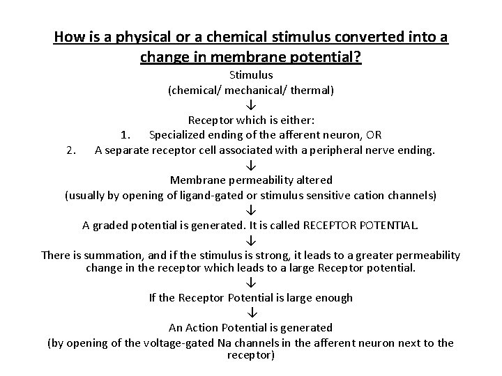 How is a physical or a chemical stimulus converted into a change in membrane