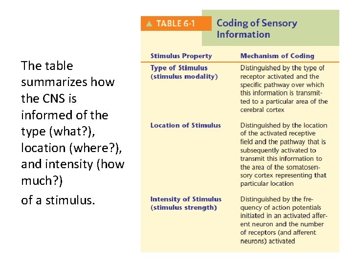 The table summarizes how the CNS is informed of the type (what? ), location