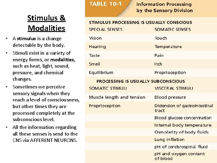 Stimulus & Modalities • A stimulus is a change detectable by the body. •
