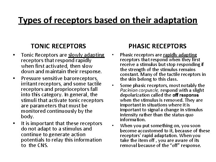 Types of receptors based on their adaptation TONIC RECEPTORS • • • Tonic Receptors