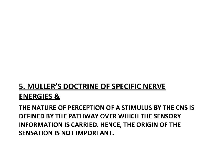 5. MULLER’S DOCTRINE OF SPECIFIC NERVE ENERGIES & THE NATURE OF PERCEPTION OF A