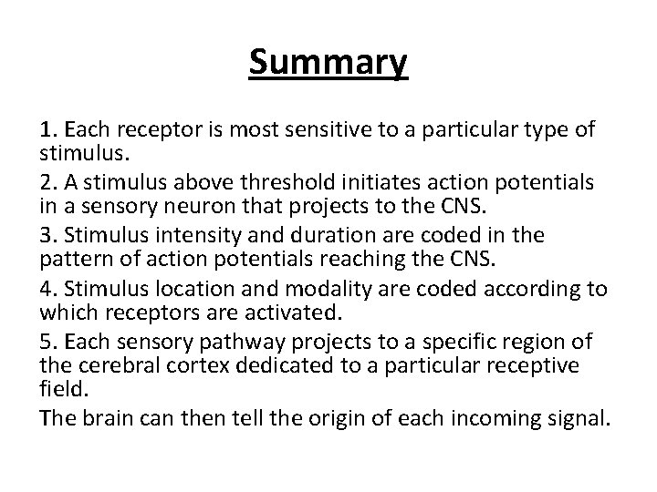Summary 1. Each receptor is most sensitive to a particular type of stimulus. 2.