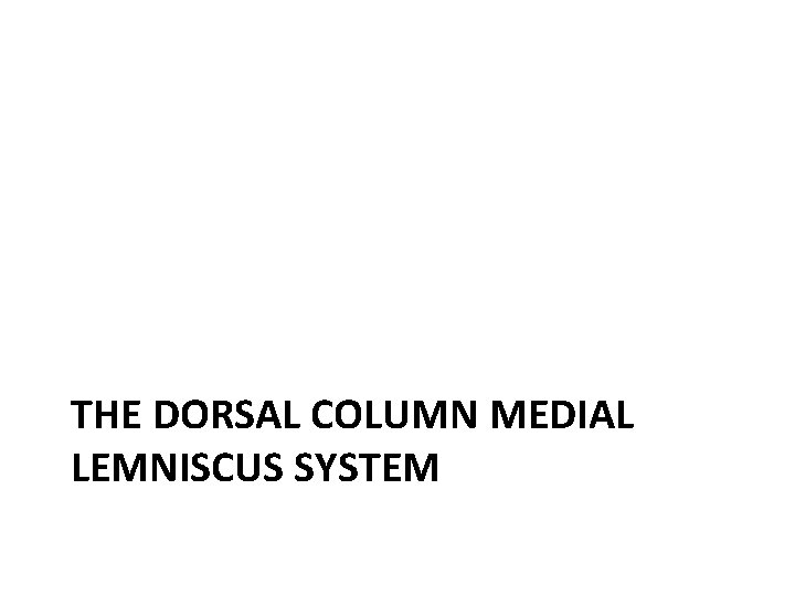 THE DORSAL COLUMN MEDIAL LEMNISCUS SYSTEM 