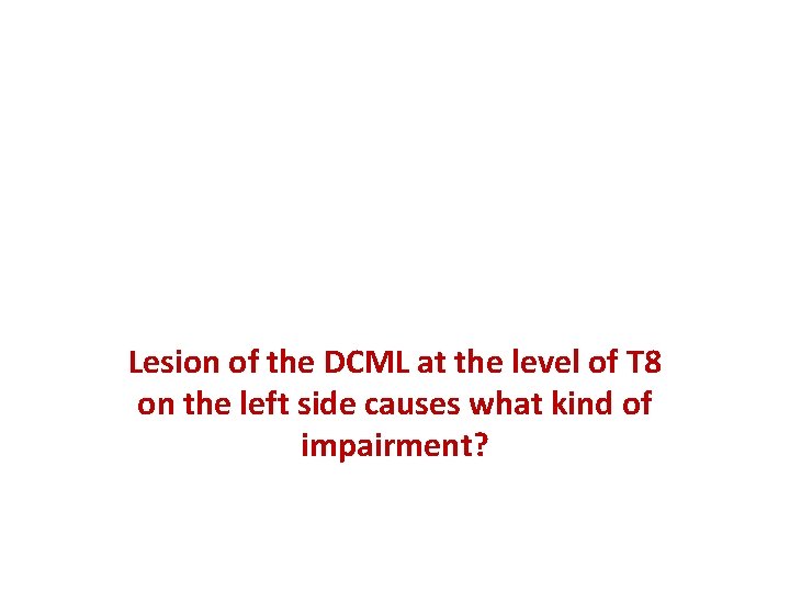 Lesion of the DCML at the level of T 8 on the left side