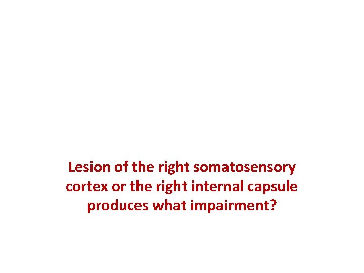 Lesion of the right somatosensory cortex or the right internal capsule produces what impairment?