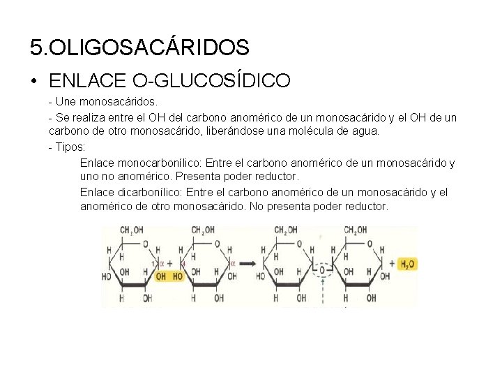 5. OLIGOSACÁRIDOS • ENLACE O-GLUCOSÍDICO - Une monosacáridos. - Se realiza entre el OH