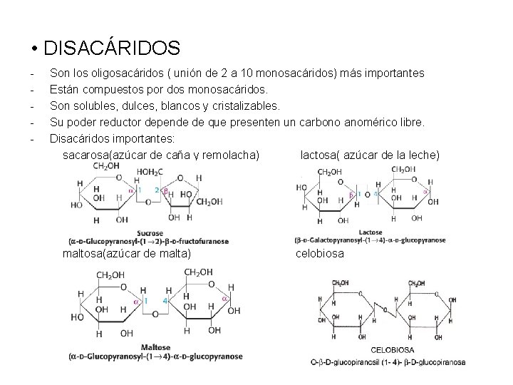  • DISACÁRIDOS - Son los oligosacáridos ( unión de 2 a 10 monosacáridos)