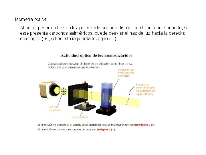 - Isomería óptica Al hacer pasar un haz de luz polarizada por una disolución