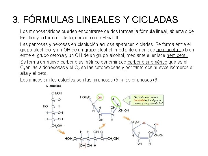 3. FÓRMULAS LINEALES Y CICLADAS Los monosacáridos pueden encontrarse de dos formas la fórmula