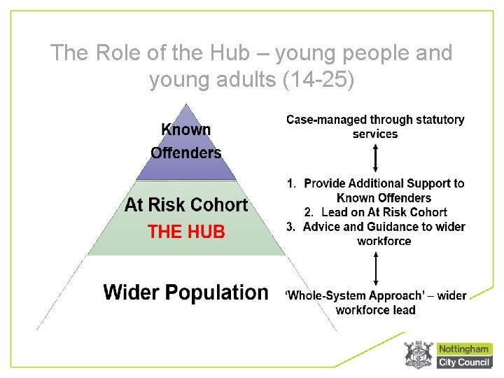 The Role of the Hub – young people and young adults (14 -25) 