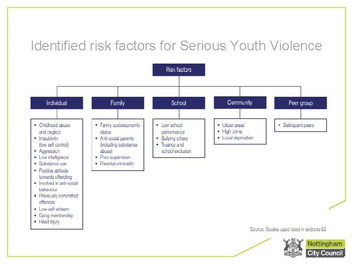 Identified risk factors for Serious Youth Violence 