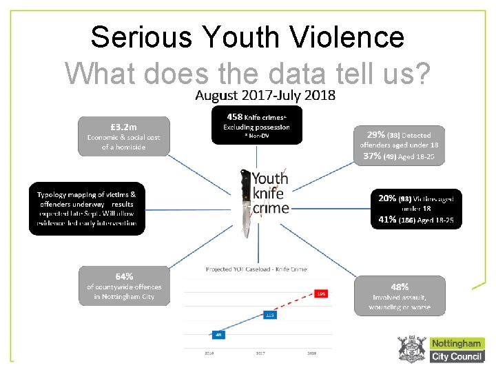 Serious Youth Violence What does the data tell us? 