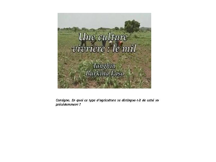 Consigne. En quoi ce type d’agriculture se distingue-t-il de celui vu précédemment ? 