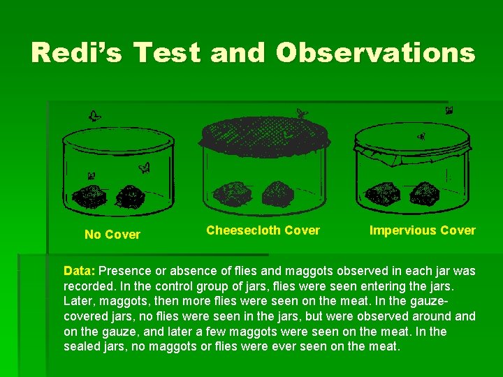 Redi’s Test and Observations No Cover Cheesecloth Cover Impervious Cover Data: Presence or absence