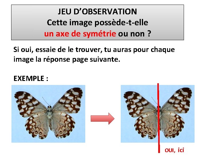 JEU D’OBSERVATION Cette image possède-t-elle un axe de symétrie ou non ? Si oui,