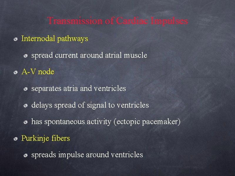 Transmission of Cardiac Impulses Internodal pathways spread current around atrial muscle A-V node separates