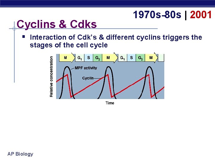 Cyclins & Cdks 1970 s-80 s | 2001 § Interaction of Cdk’s & different