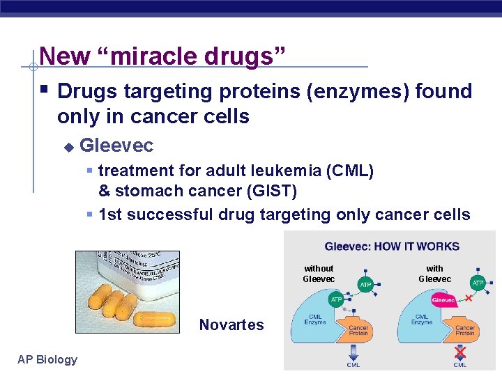 New “miracle drugs” § Drugs targeting proteins (enzymes) found only in cancer cells u