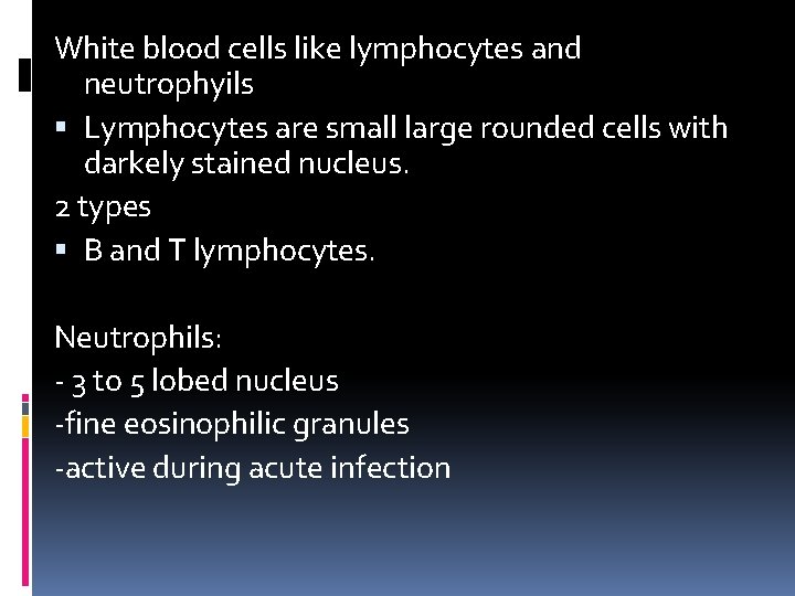 White blood cells like lymphocytes and neutrophyils Lymphocytes are small large rounded cells with