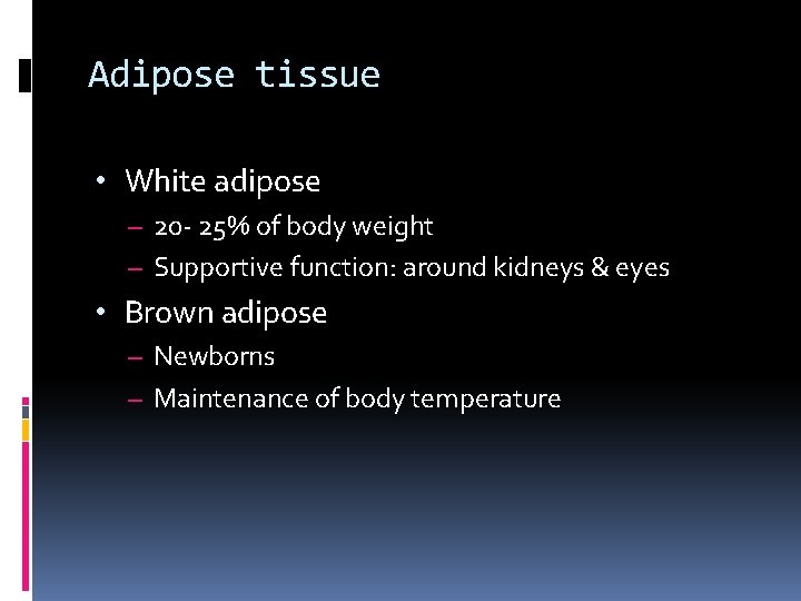 Adipose tissue • White adipose – 20 - 25% of body weight – Supportive