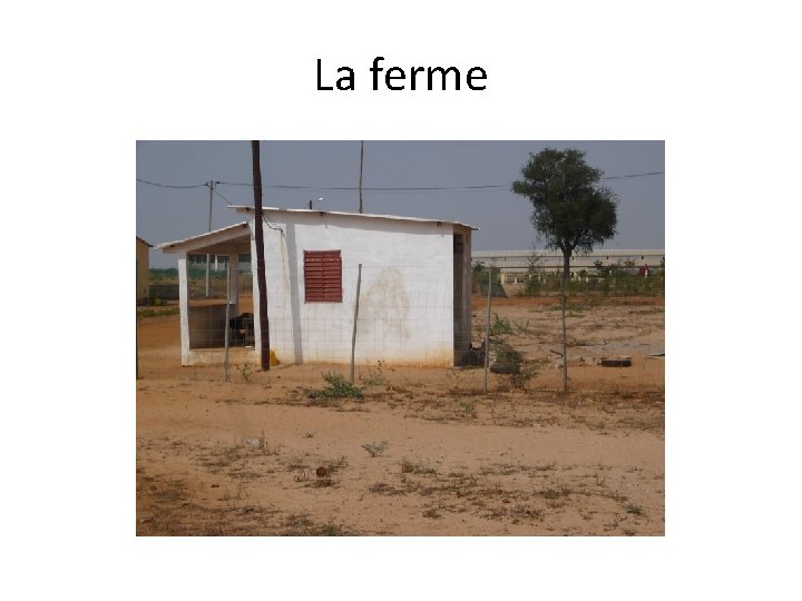 La ferme 